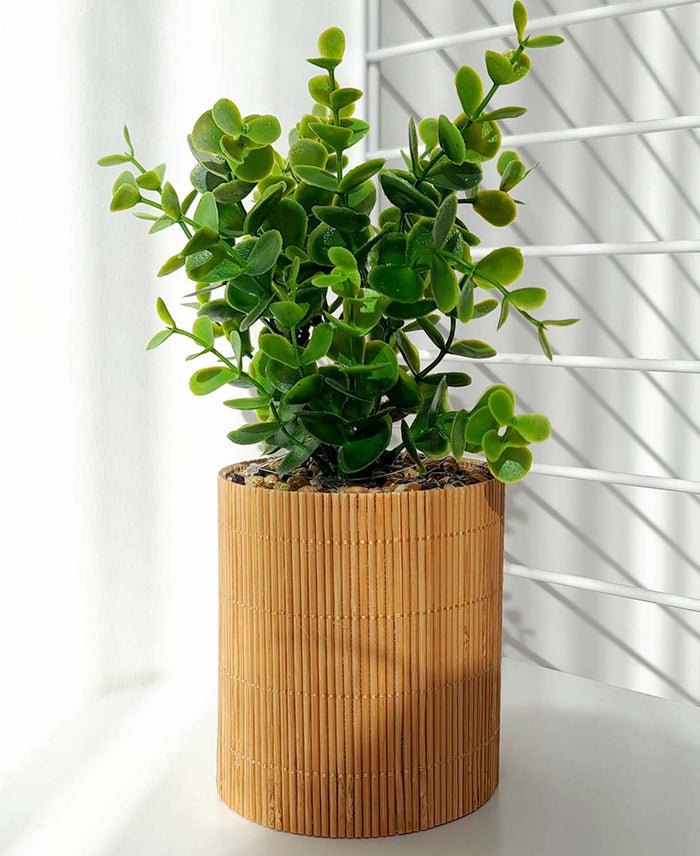 Urban Decor 26cm Plant In Bamboo Pot - Brown