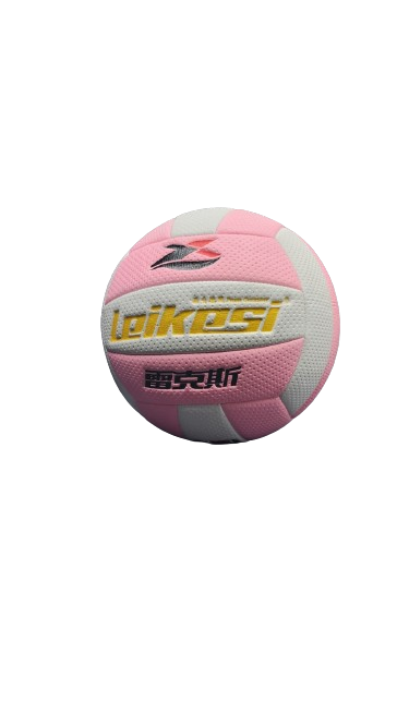 Volley Ball Leikesi