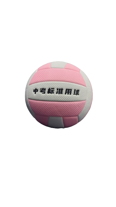 Volley Ball Leikesi