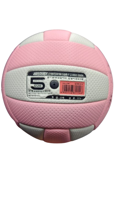 Volley Ball Leikesi