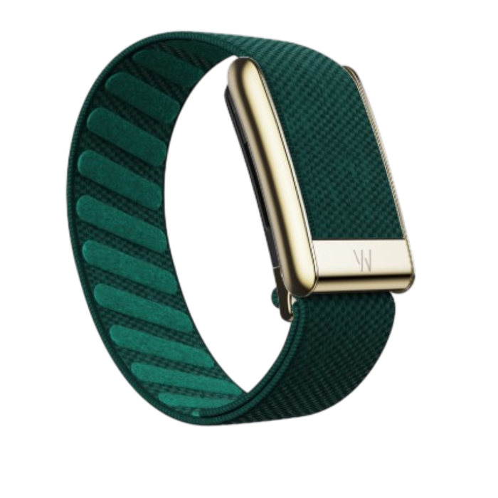 SuperKnit Emerald with Gold