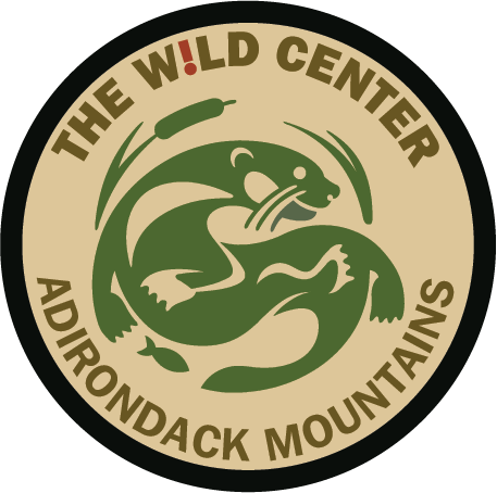 Wild Center Logo Patches
