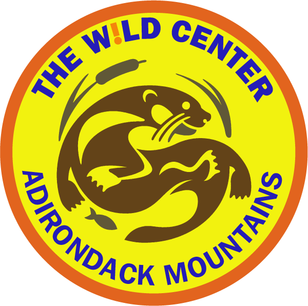 Wild Center Logo Patches