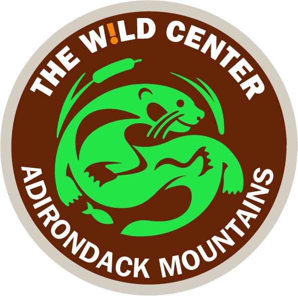 Wild Center Logo Patches